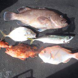 金比羅丸 釣果