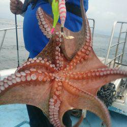 シースナイパー海龍 釣果