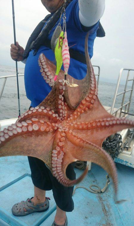 シースナイパー海龍 釣果