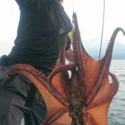 シースナイパー海龍 釣果