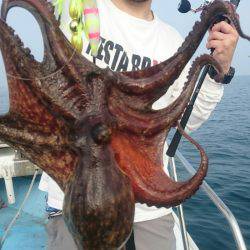 シースナイパー海龍 釣果