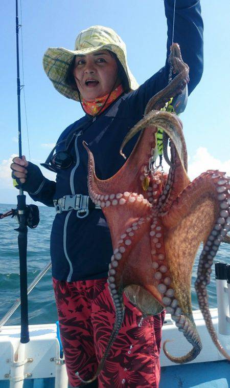 シースナイパー海龍 釣果