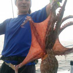 シースナイパー海龍 釣果