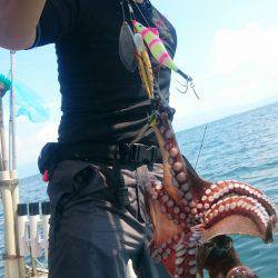 シースナイパー海龍 釣果