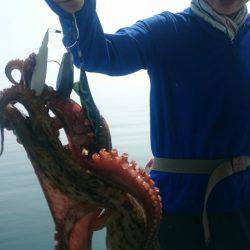 シースナイパー海龍 釣果