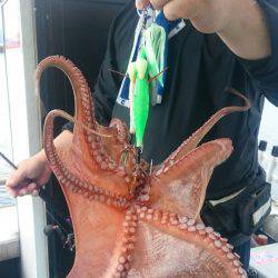 シースナイパー海龍 釣果