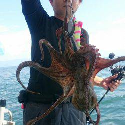 シースナイパー海龍 釣果