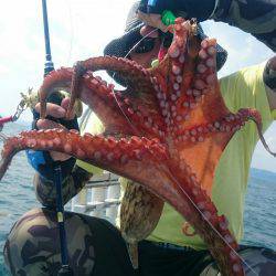 シースナイパー海龍 釣果