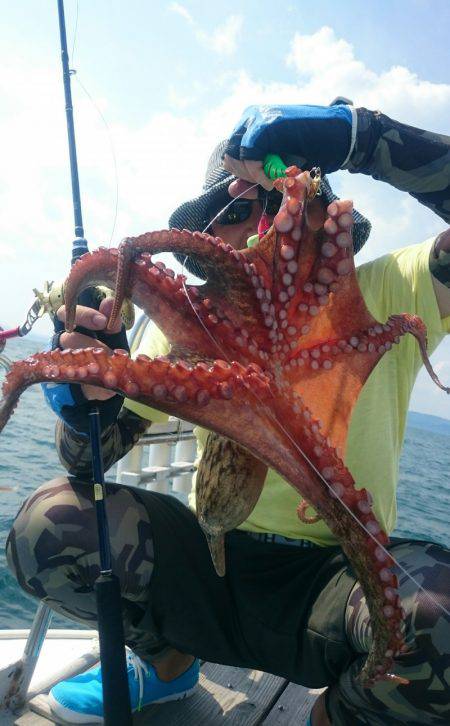 シースナイパー海龍 釣果