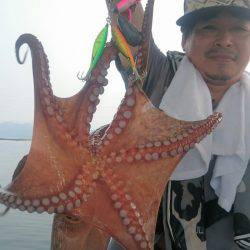 シースナイパー海龍 釣果