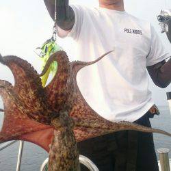 シースナイパー海龍 釣果