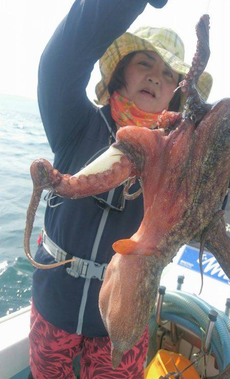 シースナイパー海龍 釣果