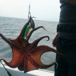 シースナイパー海龍 釣果