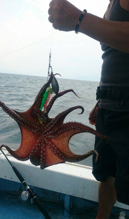 シースナイパー海龍 釣果