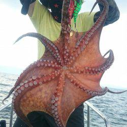 シースナイパー海龍 釣果