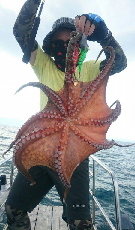 シースナイパー海龍 釣果