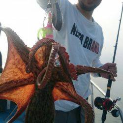 シースナイパー海龍 釣果