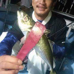 シースナイパー海龍 釣果