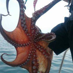 シースナイパー海龍 釣果