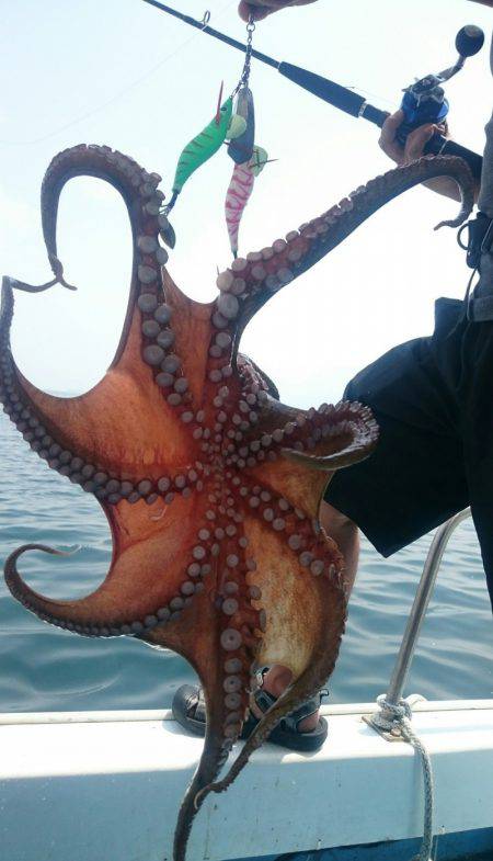 シースナイパー海龍 釣果