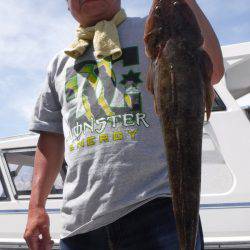 JDI Racing シールズマリンレジャー 釣果