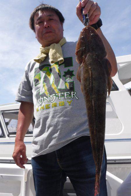 JDI Racing シールズマリンレジャー 釣果