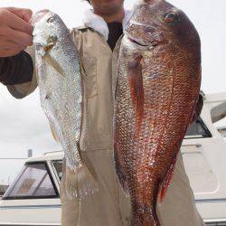 JDI Racing シールズマリンレジャー 釣果