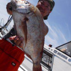 JDI Racing シールズマリンレジャー 釣果