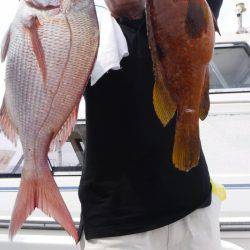 JDI Racing シールズマリンレジャー 釣果