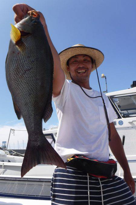 JDI Racing シールズマリンレジャー 釣果