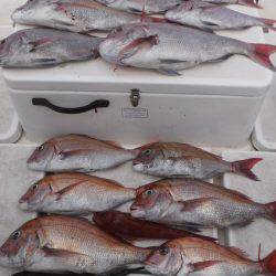 JDI Racing シールズマリンレジャー 釣果