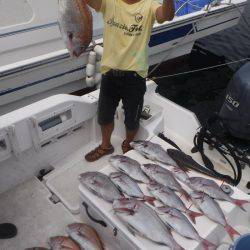 JDI Racing シールズマリンレジャー 釣果