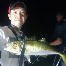 シースナイパー海龍 釣果