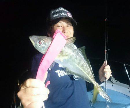 シースナイパー海龍 釣果