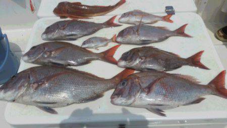 ＪＤＩ　Ｒａｃｉｎｇ　シールズマリンレジャ…