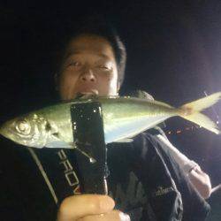 シースナイパー海龍 釣果