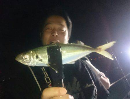 シースナイパー海龍 釣果