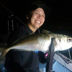シースナイパー海龍 釣果
