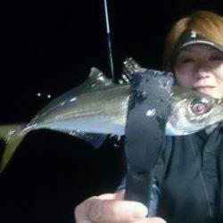 シースナイパー海龍 釣果