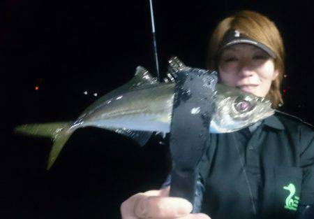 シースナイパー海龍 釣果