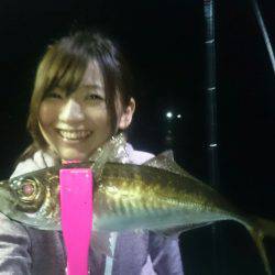 シースナイパー海龍 釣果