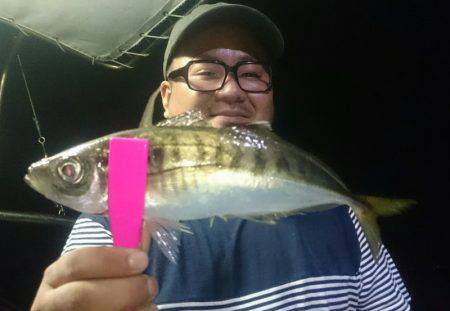 シースナイパー海龍 釣果