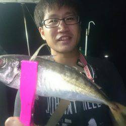 シースナイパー海龍 釣果