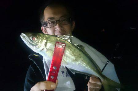 シースナイパー海龍 釣果