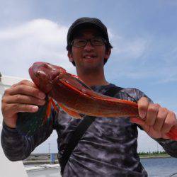 JDI Racing シールズマリンレジャー 釣果