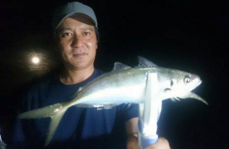 シースナイパー海龍 釣果