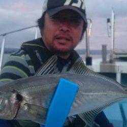 シースナイパー海龍 釣果