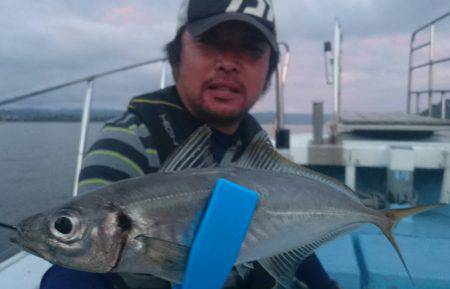 シースナイパー海龍 釣果