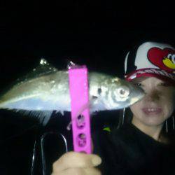 シースナイパー海龍 釣果