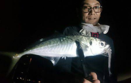 シースナイパー海龍 釣果